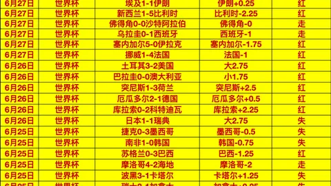 世界杯 113405